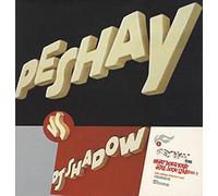 DJ SHADOW - DJ SHADOW / WHAT DOES YOUR SOUL LOOK LIKE (REMIX)