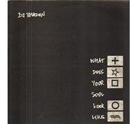Dj Shadow - What Does Your Soul Looks Like Parts 2+3+4+5