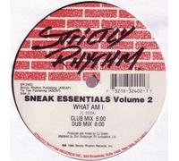 DJ SNEAK - DJ SNEAK / SNEAK ESSENTIALS VOLUME 2