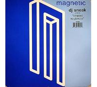 DJ Sneak - I Dropped My Gold