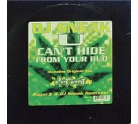 DJ Sneak / You Can't Hide From Your (Remix)
