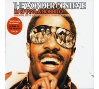 DJ Spinna & Bobbito - Wonder of Stevie