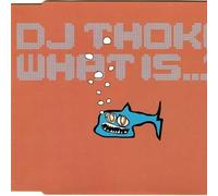 DJ Thoka - What Is...?