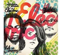 DJ Vadim Presents the Electric - DJ Vadim Presents: the Electric