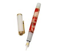 DJDLFA Penna stilografica con punta lucidante a mano, penna per pratica calligrafica (A)