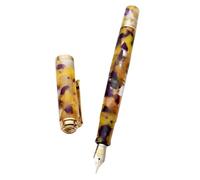 DJDLFA Penna stilografica con punta lucidante a mano Penna pratica calligrafia(5)