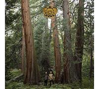 Djds - Stand Up & Speak