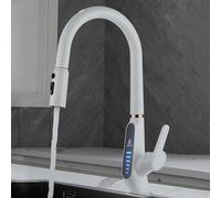 DJHFHCS Rubinetti da Cucina a 3 Vie Miscelatore per lavello con Filtro Estraibile Miscelatori da Cucina a Collo di Cigno Bianco con doccetta Estraibile Rubinetto a 3 Vie con Display Enterprise