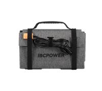 DJI Pannello solare pieghevole IBCPOWER (100 W)