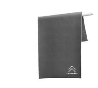 DJJNHF 2 Pezzi Microfibra per Auto per Citroen Ami Electric Four-Seater 2020-2025, Panno per Pulizia Auto, Altamente Assorbente per Lavaggio Auto, Vetri Senza Graffi,30cm*60cm