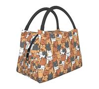 DJNGN Cute Cats Lunch Bag Borsa termica riutilizzabile per il pranzo Borsa termica con cerniera per lavoro Picnic o borsa da viaggio
