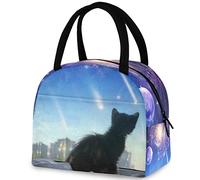 DJNGN Fantastico meraviglioso cielo nero gatto borsa riutilizzabile per il pranzo con tasca frontale borsa termica termica termica per il ritorno a scuola lavoro picnic viaggio pesca spiaggia