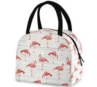 DJNGN Flamingo Modello vintage Borsa riutilizzabile per il pranzo con tasca frontale Borsa termica termica isolata per il rientro a scuola Lavoro Picnic Viaggi Pesca Spiaggia