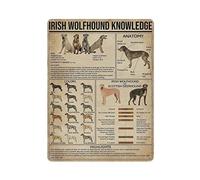 DJNGN Irish Wolfhound Knowledge Poster Metal Sign Art Wall Plaque Decor Infografica Poster Iron Painting Cartello in alluminio per scuola Istruzione Farm Men Cave Bar Yoga Outdoor Decor 12x16in