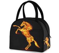 DJNGN Magic Fire Horse - Borsa termica riutilizzabile per il pranzo con tasca frontale, chiusura a cerniera, borsa termica termica isolata per uomo, donna, lavoro, picnic, viaggi, spiaggia, pesca