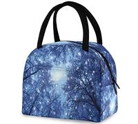 DJNGN Winter Trees Frosty Day - Borsa termica per il pranzo, borsa termica multitasche riutilizzabile per donne e uomini, lavoro scolastico, picnic, viaggi all'aperto