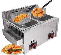 DJXLMN Friggitrice a gas commerciale da 10 l x 2 con regolazione manuale della temperatura, struttura in acciaio inossidabile, cestello rimovibile, perfetta per friggere patatine fritte