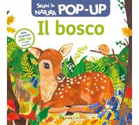 DK Il bosco. Scopri la natura pop up. Ediz. a colori