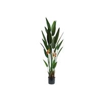 DKD Home Decor Pianta decorativa 60 x 60 x 160 cm Arancione Verde Polipropilene Tropicale