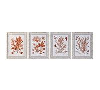 DKD Home Decor Telaio, Standard