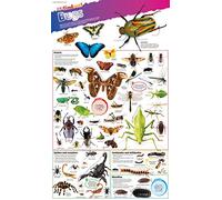 Collins Gem Food For Free [New Edition]: The Best Non-Fiction Guide to Wildlife Foraging and Natural Recipes