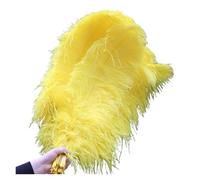DKJAHSEK 10 pz/lotto eleganti piume naturali 50-55 cm for artigianato matrimonio festa forniture carnevale ballerino decorazione piumaggi per Ballando Tea Party Nozze(Yellow)