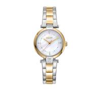DKNY Orologio al quarzo Essential Mini al quarzo 5 ATM, Argento/oro, misura unica, Moderno
