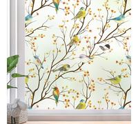 dktie Graz Design - Pellicola decorativa per finestra, autoadesiva, in vetro smerigliato, per finestre, protezione dai raggi UV, per decorazione della stanza, bagno, 90 x 200 cm, colore: Bianco