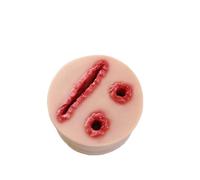 DKULMN Simulator Wound Care Model,Wound Care Wound Models, 3 in 1 Multitask Tourniquet Trainer Model,Realistic Trauma Model, for Immobilization And Bandage Training