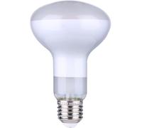 DL DAYLIGHTITALIA Lampadina da ricambio per lampada Frisbi Flos - LED FIL R80 220/240V 7W E27 2700K SATIN DIM
