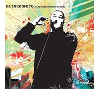 DL INCOGNITO - A CAPTURED MOMENT IN TIME