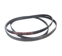 DL SERVICE Cinghia Motore per Asciugatrice Hotpoint Ariston, cinghia rigata EL1965 7PH Codice C00297210, ricambio compatibile