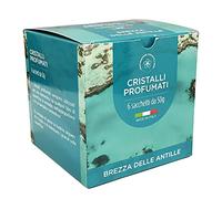 DL SERVICE Granuli Profumati per Aspirapolvere, Ambienti e Tessuti, Cristalli per ambiente - Scatola da 6 bustine da 50gr (Brezza delle Antille)