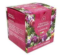 DL SERVICE Granuli Profumati per Aspirapolvere, Ambienti e Tessuti, Cristalli per ambiente - Scatola da 6 bustine da 50gr (Fiori di Rotterdam)