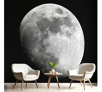 DLERFLOVR Carta Da Parati Luna In Bianco E Nero Fotomurali Spazio Misterioso Decorazione da Muro XXL Poster Gigante Design per Camera letto, Soggiorno, 300x210cm, In Bianco E Nero
