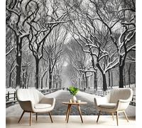 DLERFLOVR Carta da parati Sentiero Del Parco Invernale, 200x140cm Fotomurali in Seta Vista Sul Parco Decorazione da Muro XXL Poster Gigante Design per Ufficio TV Sfondo, Grigio Antracite