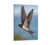 DLJGDS Poster decorativo da parete su tela con animale, cielo blu, rondine in volo, decorazione moderna per camera da letto, 50 x 75 cm
