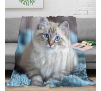DLONIRPEX stampa 3D Carino kitten coperta da viaggio microfibra biancheria da letto leggera e morbida plaid da viaggio compatto anti-pilling per viaggi Fluffy pet companion 50x60inch(127x152cm)