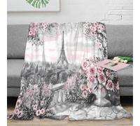 DLONIRPEX stampa 3D Paris skyline coperta in pile microfibra biancheria da letto non perde pelo coperta da letto calda per giovani in camera da letto Romantic rose giardino 50x60inch(127x152cm)