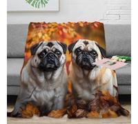 DLONIRPEX stampa 3D Pug dogs plaid termico microfibra biancheria da letto compatto coperta da pisolino anti-pilling per studenti durante lo studio Autumn foliage 70×80inch(180x200cm)