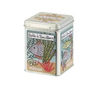 DLP - Scatola per brodi in metallo - Pesce vintage