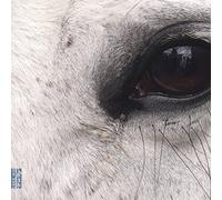 Dlugoszewski - Openings Of The Eye