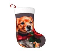 Dlxw Calze natalizie abbinate con Babbo Natale e cane simile a un gentiluomo