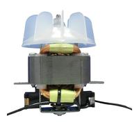 DLYOING Parti dell'asciugacapelli per Parrucchiere Motore Professionale per asciugacapelli ad Alta Potenza #13#15#17#21 Motore con Foglia del Ventilatore 220V 1800-2100W (Color : 17, Size : 1)