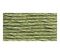 DMC 117-522 - Filo da ricamo in cotone a sei fili, colore: Verde felce, 8,7 m