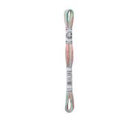 DMC Coloris Ricamo Filo 4501 Fleurs Des Champs 8 Metri Selvatico Fiori
