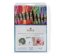 DMC, Filo da Ricamo con Colori variegati Assortiti, 36 Pezzi, F25PK36