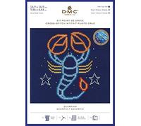 DMC - Kit segno zodiacale Capricorno