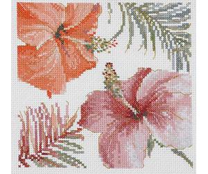 DMC Kit Tropical Blush III, Tessuto Cotone, Vario