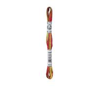 Dmc Matassina Filo Ricamo Coloris Moulinè Multicolore 517